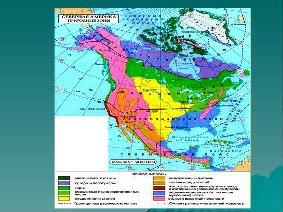 Климат северной америки - особенности климатообразующих факторов, типы и характеристика