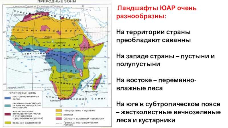 Климатические пояса африки ️ географическое положение, характеристика основных областей, описание, типы климата, список стран, особенности флоры и фауны
