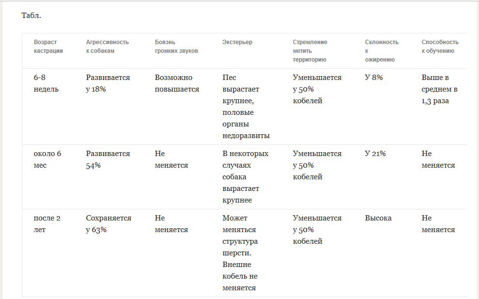 Гнойные выделения у собаки из петли - обзор причин и способы лечения