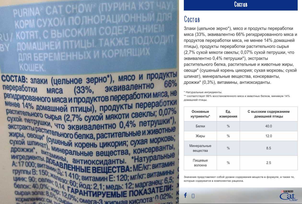 Подробный авторский разбор сухих и влажных кормов для кошек и котят Пурина Кэт чау Cat chow: анализ состава, отзывы врачей и покупателей, аналоги на замену