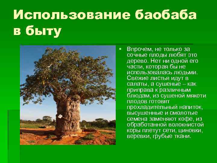 Где растут баобабы в какой природной зоне