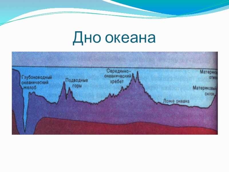 Мировой океан. рельеф дна, течения