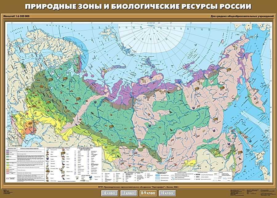 Особенности тайги смешанных и широколиственных лесов — от земли до неба