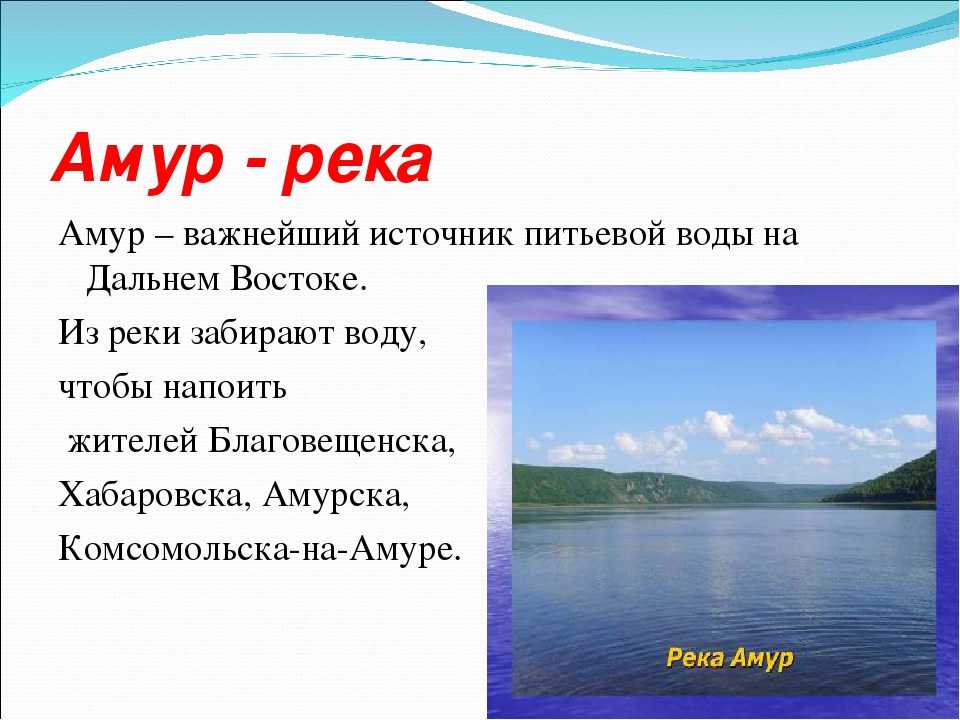 Объясните почему антропогенное воздействие на реки бассейна амура