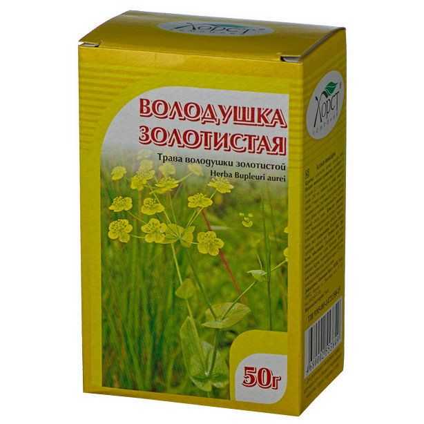 Володушка лечебные свойства и противопоказания