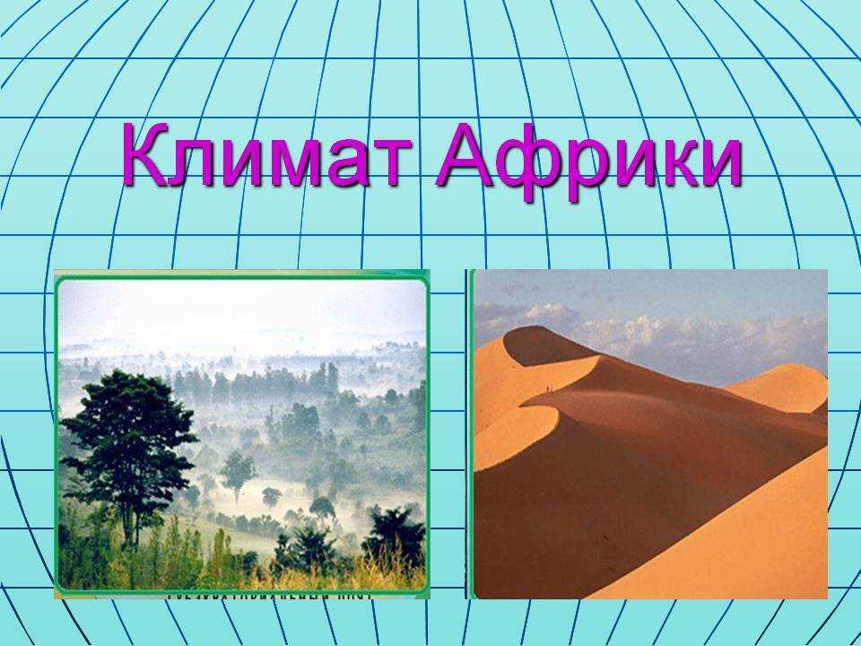 Субэкваториальный пояс: описание, климат, растительность и животный мир