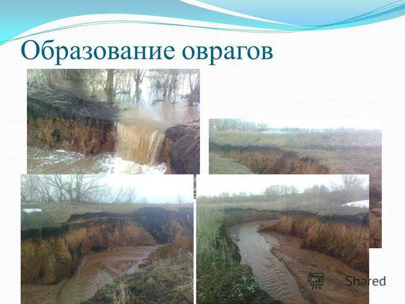 Овраги: что это значит и как их образование влияет на природу и человека