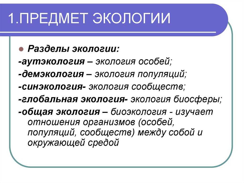 Экология - определение, что изучает, кто ввел термин, основные понятия