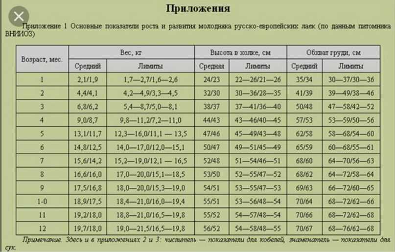 Вес щенка немецкой овчарки в 2 месяца - наши лапки