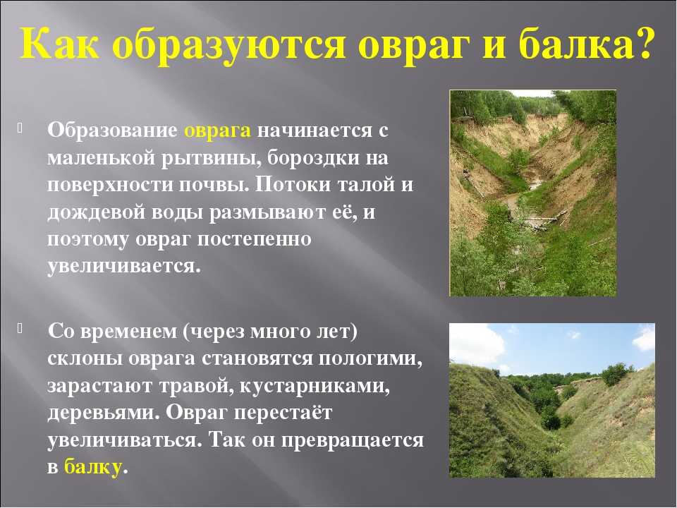 Способ борьбы с оврагами