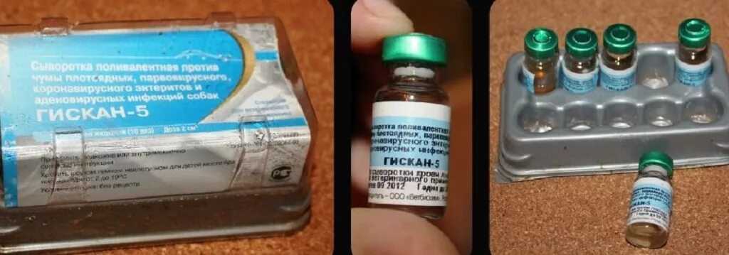 Гискан 5 сыворотка для собак — инструкция по применению