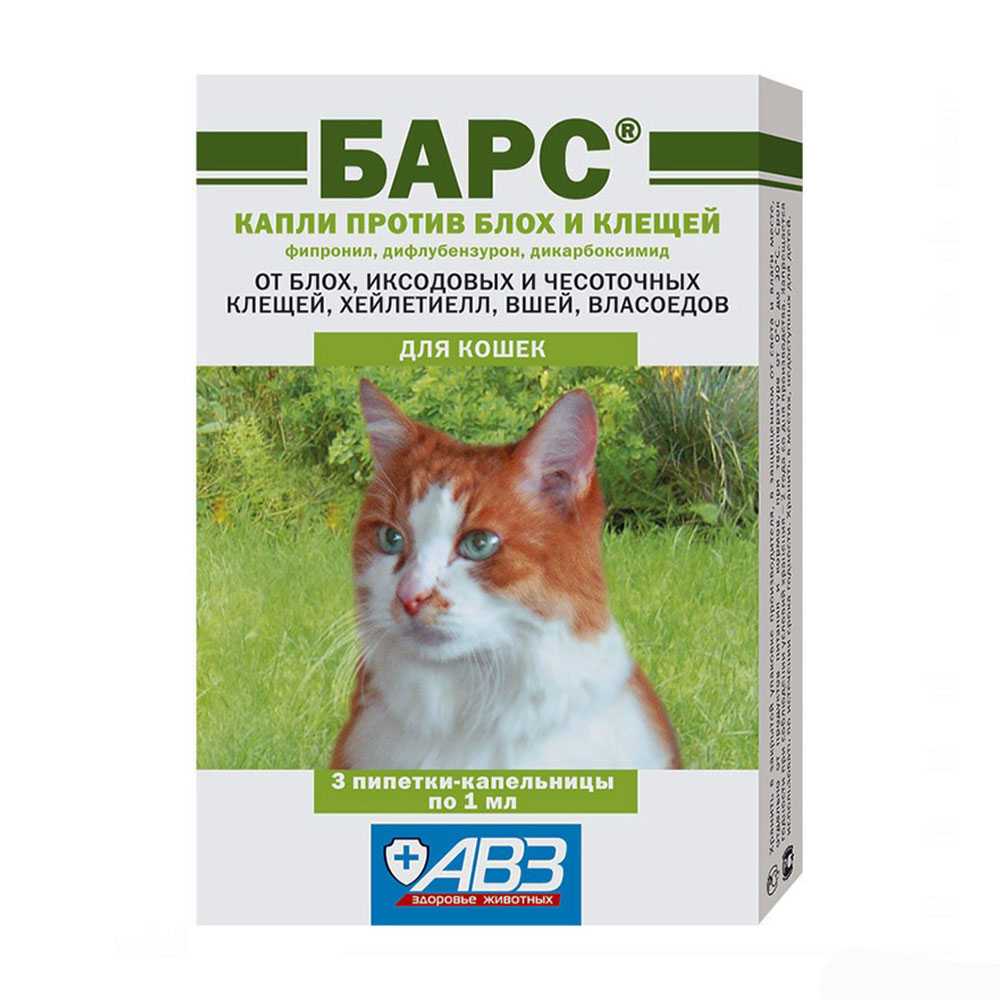Капли для котят от блох: когда давать и какие лучше | звери дома