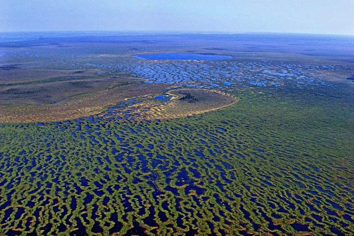 самые большие и известные болота России Сколько болот в России Территория болот Карта болот
