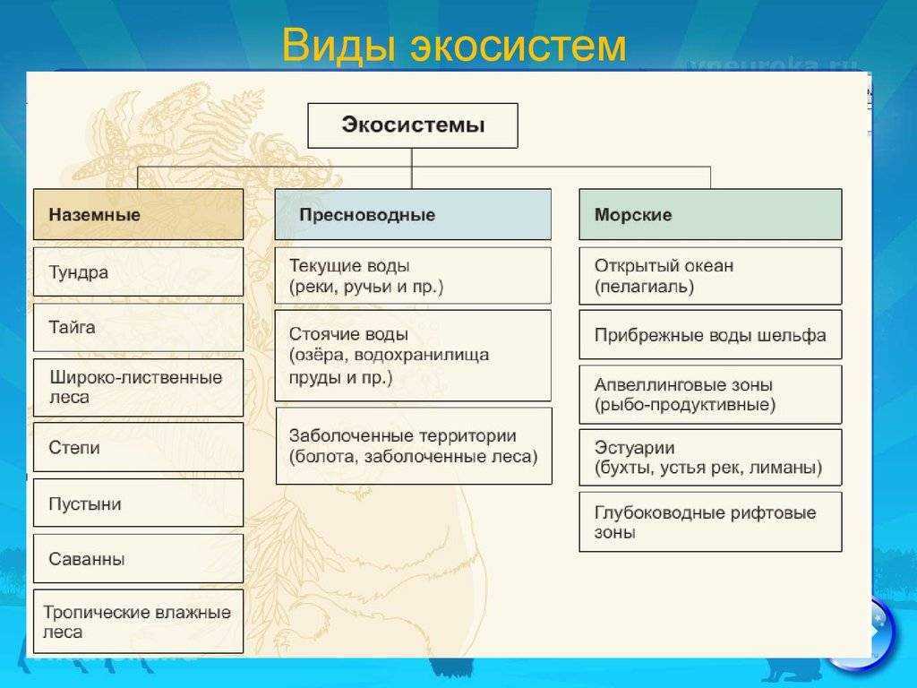 Искусственные экосистемы